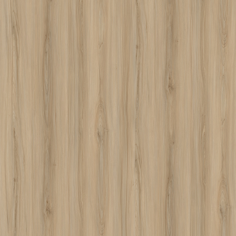 E11031 javor